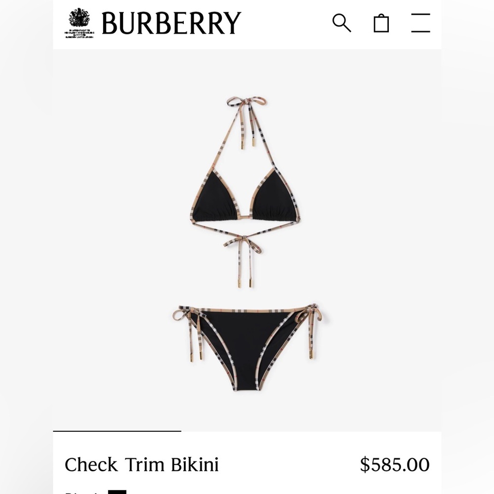Authentic Burberry Bikini Set - brown l